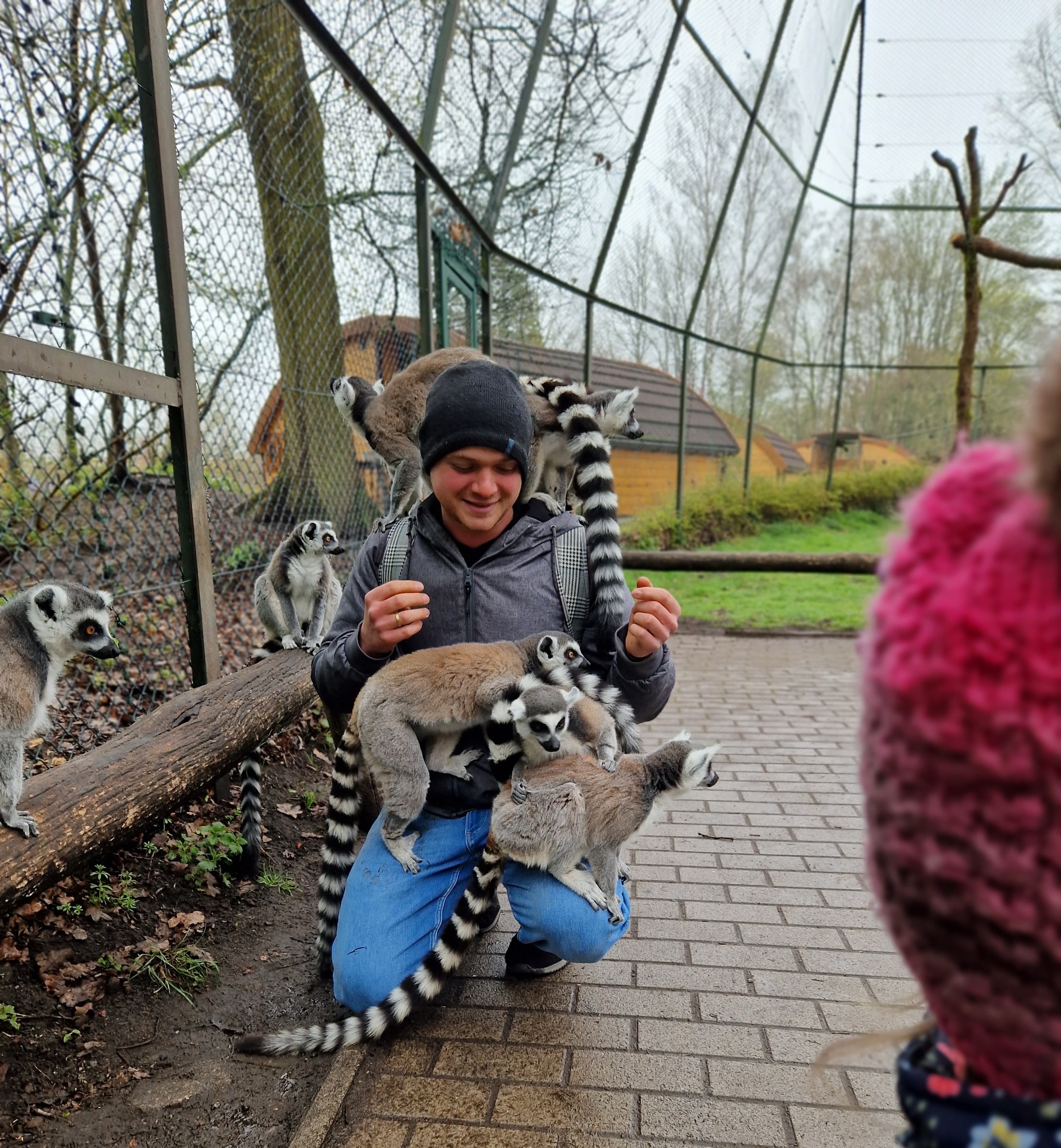 Kattas auf Tuchfühlung